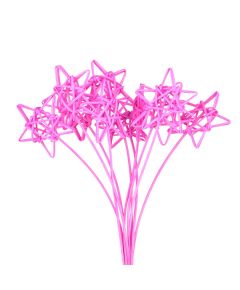 звёзды на пике (ярко-розовый), Цвет: ярко-розовый