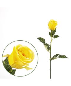 роза бьюд (жёлтый), Цвет: жёлтый