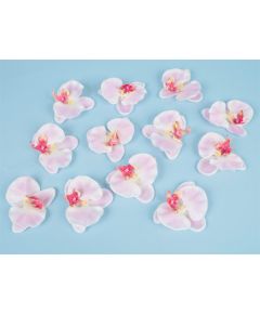 цветки фаленопсиса (розово-белый), Цвет: розово-белый