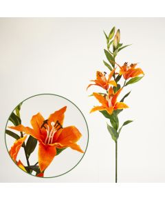 лилия трёхцветковая (оранжевый), Цвет: оранжевый