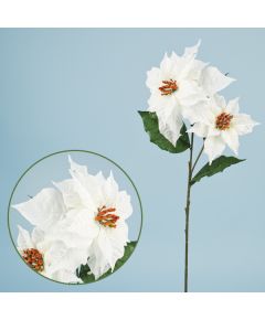 пуансетия (белый), Цвет: белый