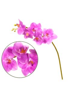 орхидея фаленопсис "natural touch" (фиолетовый), Цвет: фиолетовый