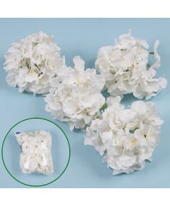 соцветие гортензии (белый), Цвет: белый