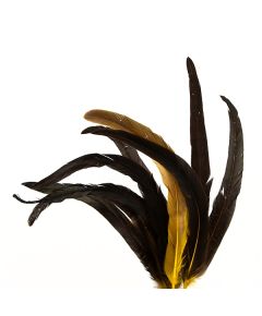 перья "петушиный хвост" (9 шт. в упак.) (чёрно-жёлтый), Цвет: чёрно-жёлтый