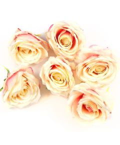 цветки розы (кремово-розовый), Цвет: кремово-розовый
