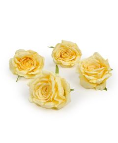цветки крупной розы (жёлтый), Цвет: жёлтый