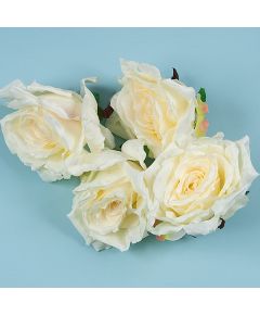 цветки розы (кремово-белый), Цвет: кремово-белый