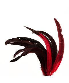 перья "петушиный хвост" (9 шт. в упак.) (чёрно-красный), Цвет: чёрно-красный