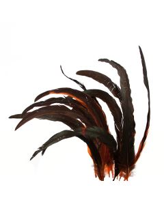 перья "петушиный хвост" (9 шт. в упак.) (чёрно-оранжевый), Цвет: чёрно-оранжевый