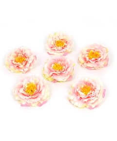 цветки английской розы (розово-кремовый), Цвет: розово-кремовый