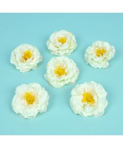 цветки английской розы (белый), Цвет: белый