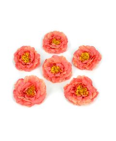 цветки английской розы (сальмон), Цвет: сальмон