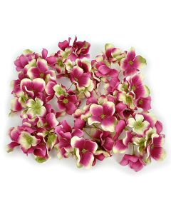 соцветие гортензии (фиолетово-зеленый), Цвет: фиолетово-зеленый