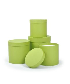 набор коробок d=200/180/160/150 мм h=200/180/160/150 мм (салатовый), Цвет: салатовый