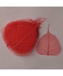 И054 Скелетоны круглые (50 шт в уп)