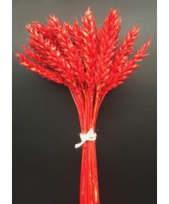 ПШ15 пшеница "Премиум" красная (50 г), Цвет: красный, Высота: 50