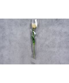 Пакет цветочный Конус на 1 розу 15/80 прозрачный/прозрачный
