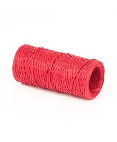 лента-шнур сатиновая (светло-жёлтый), Цвет: красный