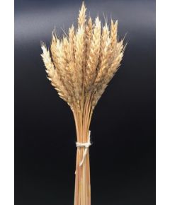 ПШ10 пшеница "Премиум" натуральная (50 г), Цвет: натуральный, Высота: 50