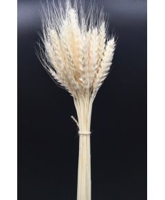 ПШ11 пшеница "Премиум" отбеленная (50 г), Цвет: белый, Высота: 50