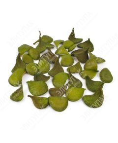 дольки "перейро" (зелёный), Цвет: зелёный