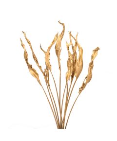 листья стрелиции (золотой), Цвет: золотой