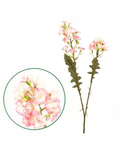 флокс (светло-розовый), Цвет: светло-розовый