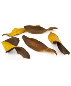 листья тиборна (жёлтый), Цвет: жёлтый