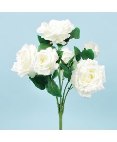 роза кустовая "эталон"