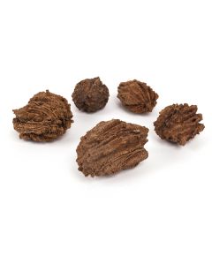 чинеза (натуральный), Цвет: натуральный