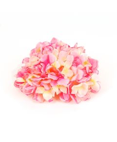 соцветие гортензии "французская ривьера"