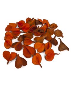 сердца "перейро" (оранжевый), Цвет: оранжевый