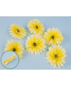 цветки герберы (жёлтый), Цвет: жёлтый