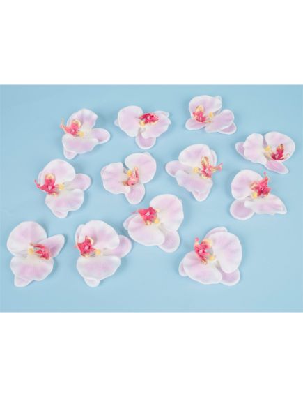 цветки фаленопсиса (розово-белый), Цвет: розово-белый