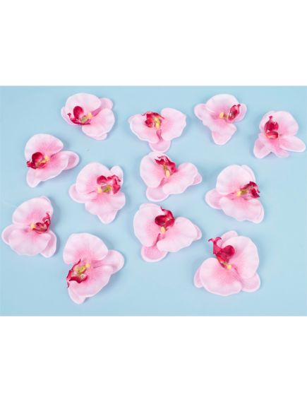 цветки фаленопсиса (розовый), Цвет: розовый