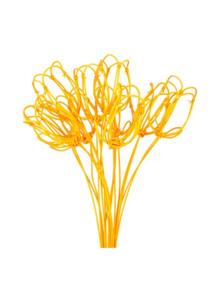 тюльпаны на пике (ярко-оранжевый), Цвет: ярко-оранжевый