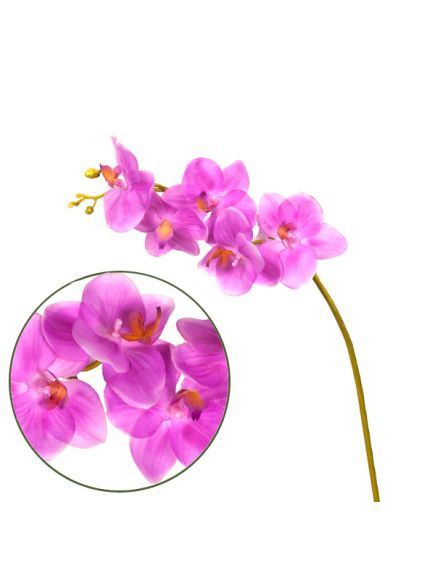 орхидея фаленопсис "natural touch" (фиолетовый), Цвет: фиолетовый
