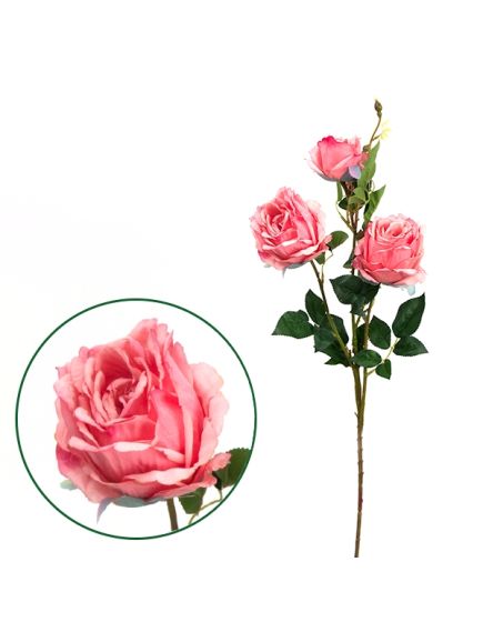 роза "декаданс" трёхцветковая (розовый), Цвет: розовый