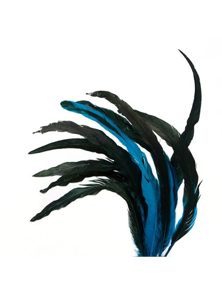 перья "петушиный хвост" (9 шт. в упак.) (чёрно-синий), Цвет: чёрно-синий