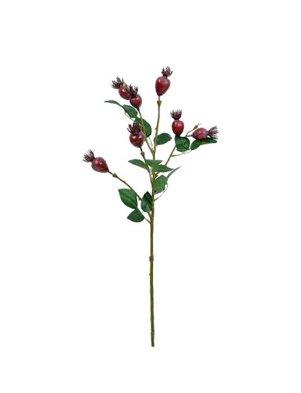 ветка шиповника с ягодами (сливовый), Цвет: сливовый