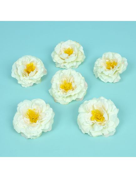 цветки английской розы (белый), Цвет: белый