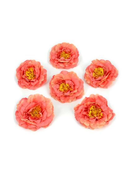цветки английской розы (сальмон), Цвет: сальмон