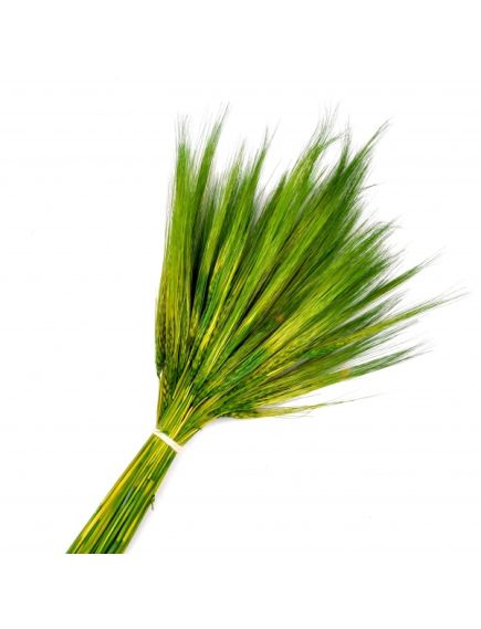 ПШ03 пшеница зеленая (100 г)