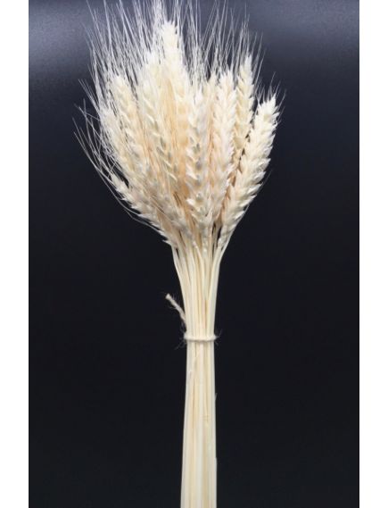 ПШ11 пшеница "Премиум" отбеленная (50 г), Цвет: белый, Высота: 50