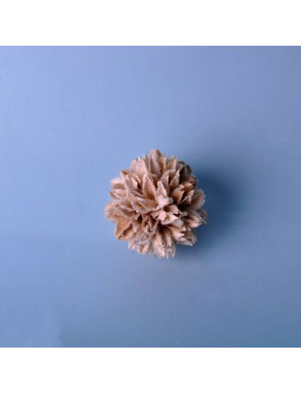 И024 Шар Арджун мини 6 см отбеленный (1 шт.)