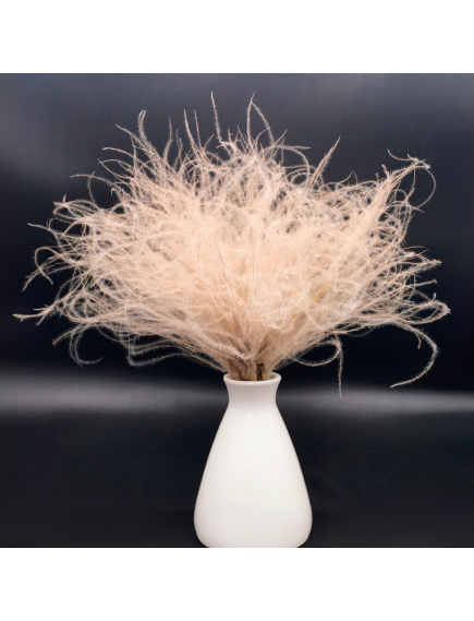 К002 ковыль мини натуральный 35 см (30 г), изображение 2