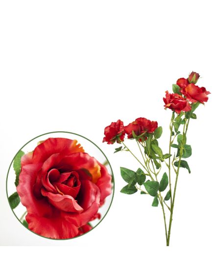 роза кустовая "романтик" (ярко-розовый), Цвет: ярко-розовый