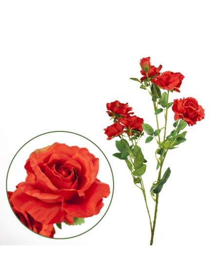 роза кустовая "романтик" (красный), Цвет: красный