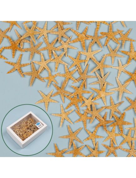 2830 морские звёзды натуральные 5-8 см (100 шт. в упак.)