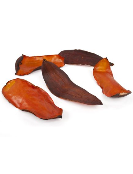 листья тиборна (оранжевый), Цвет: оранжевый